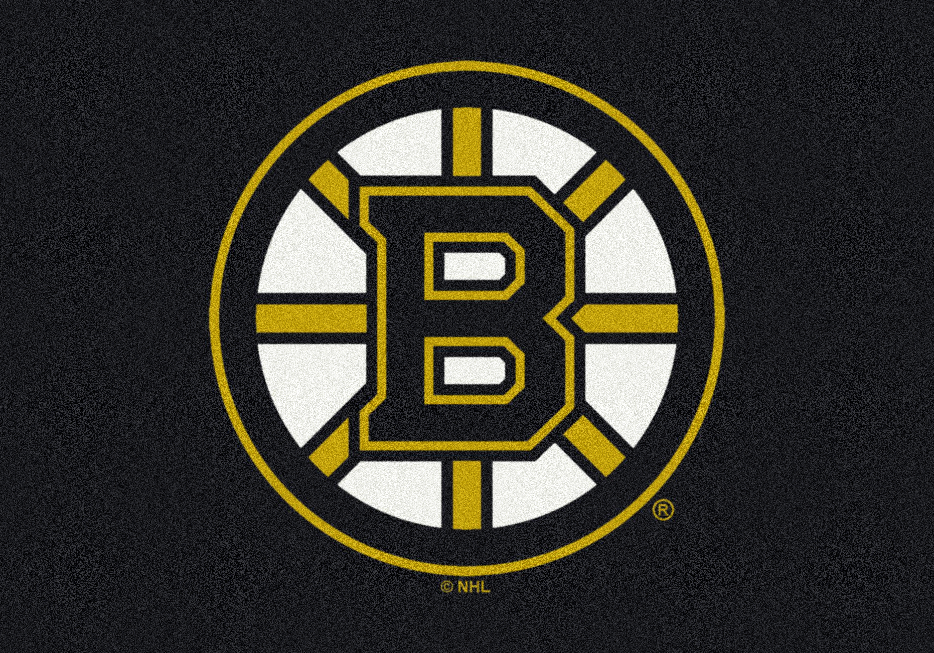 Boston Bruins 3' 10" x 5' 4" Team Spirit Area Rug