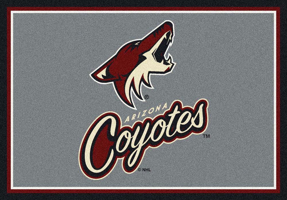 Arizona Coyotes 2' 8" x 3' 10" Team Spirit Area Rug
