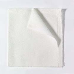 40" x 48" 2-Ply Tissue Drape Sheet - Case of 100