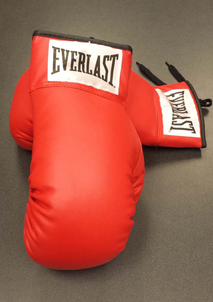 Everlast Leather Boxing Gloves - 1 Pair