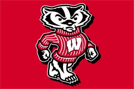 Wisconsin Badgers 20" x 30" Acrylic Tufted Rug