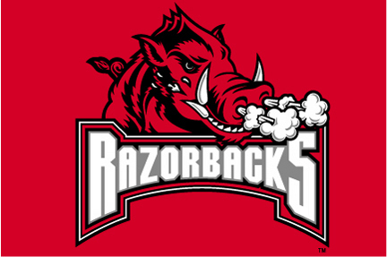 Arkansas Razorbacks 20" x 30" Acrylic Tufted Rug