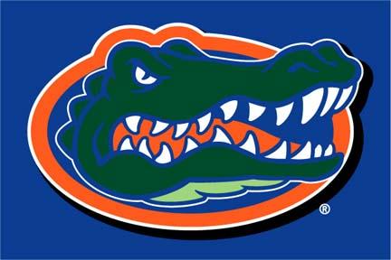 Florida Gators 20" x 30" Acrylic Tufted Rug