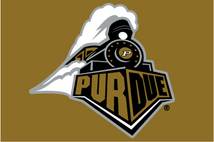 Purdue Boilermakers 20" x 30" Acrylic Tufted Rug