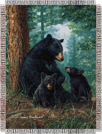 Hautman Brothers "Naptime" 48" x 60" Tapestry Throw Blanket