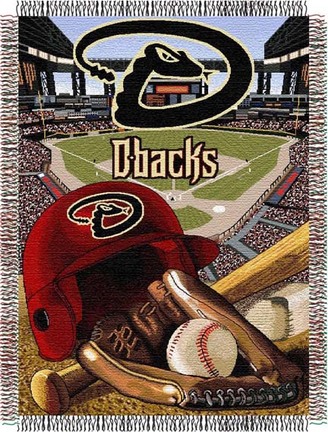 Arizona Diamondbacks "Stadium" 48" x 60" Tapestry Throw Blanket