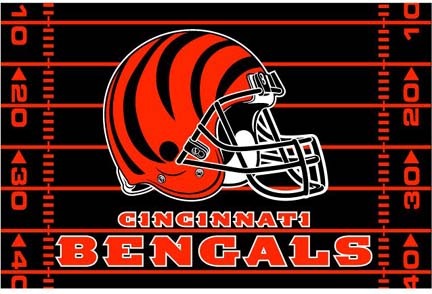 Cincinnati Bengals 39" x 59" Acrylic Tufted Rug