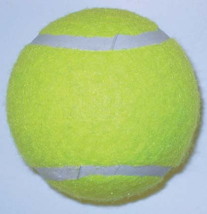 Economy Practice Tennis Balls (Case of 120)