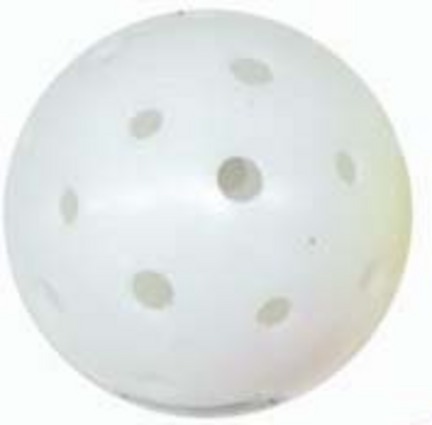 Seamless Pickle Ball&reg; Balls (White) - 1 Dozen