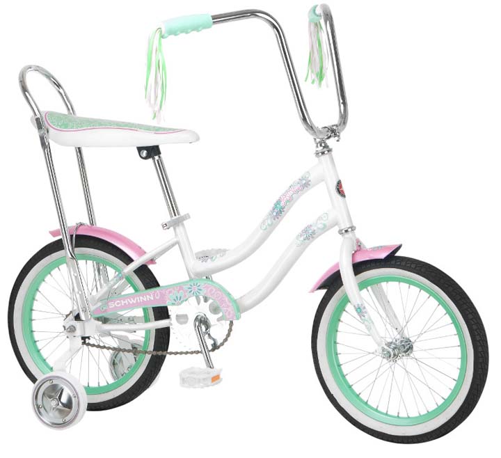 Schwinn S1681B Jasmine 16