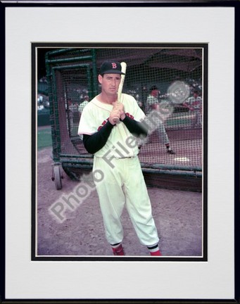 Ted Williams, Boston Red Sox Double Matted 8" X 10" Photograph in Black Anodized Aluminum Frame