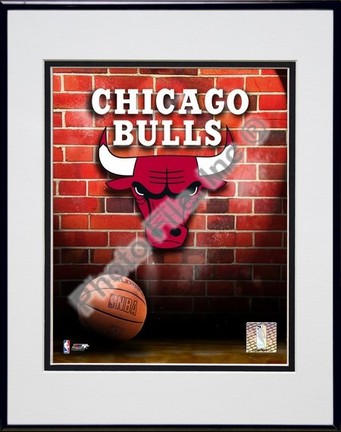 Chicago Bulls "2006 Logo" Double Matted 8" X 10" Photograph in a Black Anodized Aluminum Frame