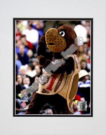 Maryland Terrapins 2006 "Mascot"  Double Matted 8â€ x 10â€ Photograph (Unframed)