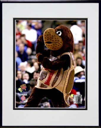 Maryland Terrapins 2006 "Mascot"  Double Matted 8” x 10” Photograph in Black Anodized Aluminum Frame