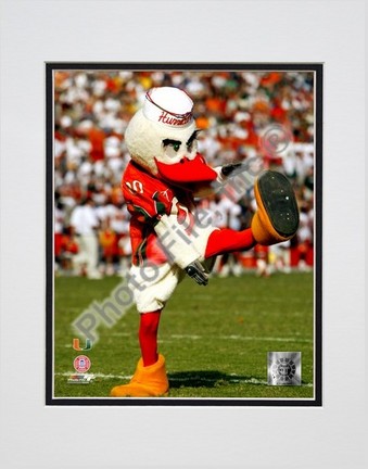 Sebastian The Mascot of  University of Miami Hurricanes, 2003 Double Matted 8” x 10” Photograph (Unframed)