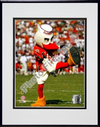 Sebastian The Mascot of  University of Miami Hurricanes, 2003 Double Matted 8" x 10" Photograph In Black Anodi