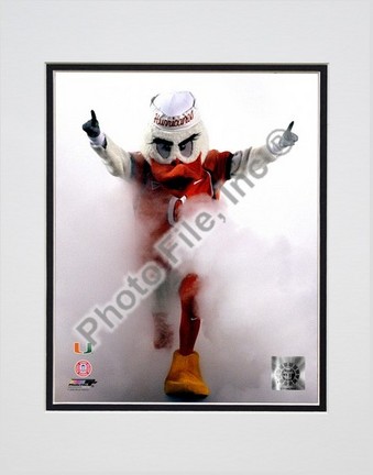 Sebastian "the University of Miami Hurricanes mascot 2006" Double Matted 8” x 10” Photograph (Unframed)