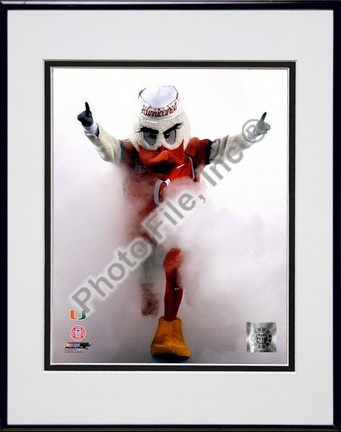 Sebastian "the University of Miami Hurricanes Mascot 2006" Double Matted 8" x 10" Photograph In Blac