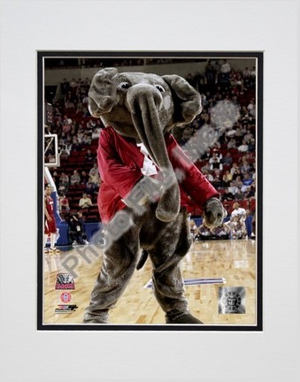 University of Alabama - Crimson Tide Elephant Mascot, 2004 Double Matted 8” x 10” Photograph (Unframed)