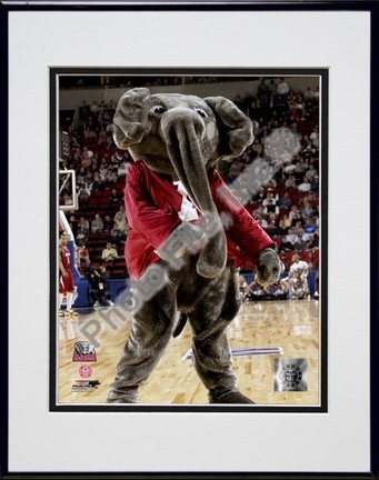 University of Alabama - Crimson Tide Elephant Mascot, 2004 Double Matted 8" x 10" Photograph In Black Anodized