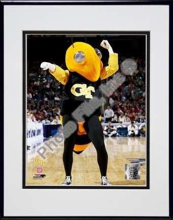Georgia Tech Yellowjacket Mascot, 2003" Double Matted 8" x 10" Photograph In Black Anodized Aluminum Fram