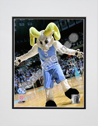 University of North Carolina "Ramses the Tar Heels Mascot, 2007" Double Matted 8” x 10” Photograph (Unfram