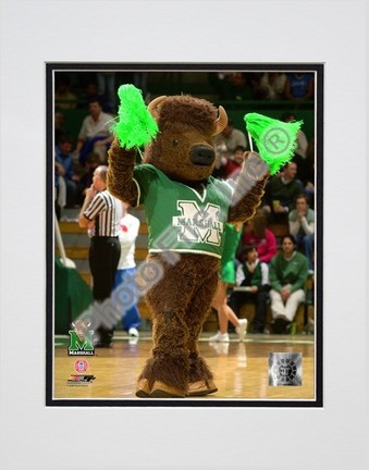 Marshall University Thundering Herd "Mascot, Marco" Double Matted 8” x 10” Photograph (Unframed)