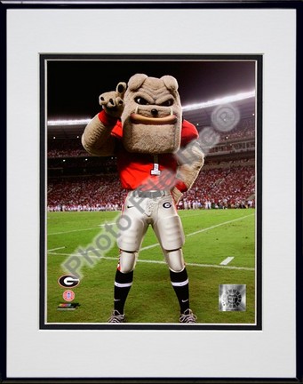 The Univserity of Georgia Bulldogs Mascot 2007 Double Matted 8â€ x 10â€ Photograph in Black Anodized Aluminum Frame