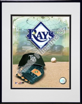2008 Tampa Bay Rays Team Logo Double Matted 8” x 10” Photograph in Black Anodized Aluminum Frame
