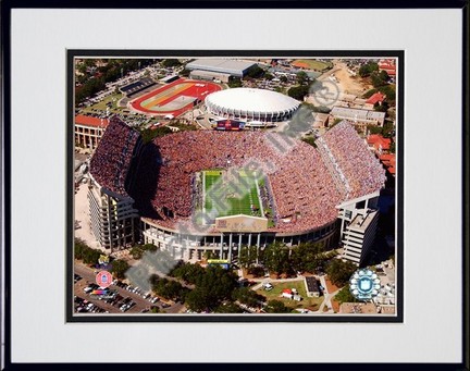 Louisiana State (LSU) Tigers - Stadium Double Matted 8” x 10” Photograph in Black Anodized Aluminum Frame
