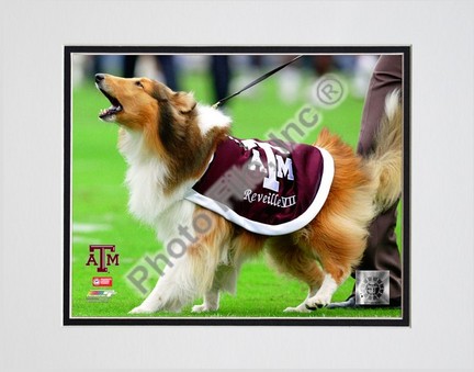 Texas A & M Aggies "Reveille VII Mascot 2005" Double Matted 8" x 10" Photograph (Unframed)