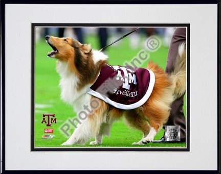 Texas A & M Aggies "Reveille VII Mascot 2005" Double Matted 8" x 10" Photograph in Black Anodize