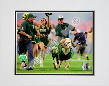 Colorado State Rams "Cam the Ram 2008" Double Matted 8â€ x 10â€ Photograph (Unframed)