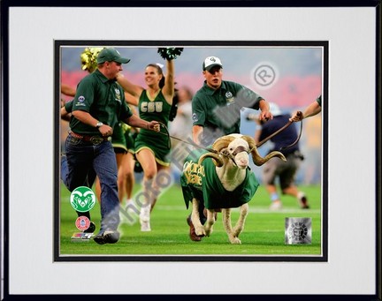 Colorado State Rams "Cam the Ram 2008" Double Matted 8” x 10” Photograph in Black Anodized Aluminum Frame