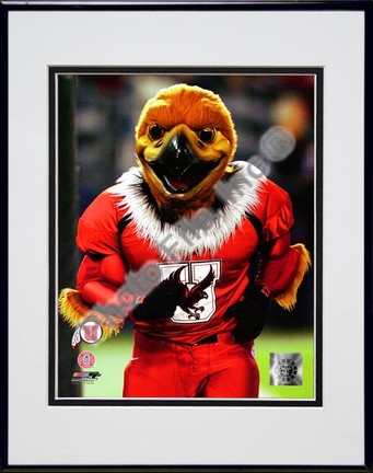 Utah Utes "Mascot 2003" Double Matted 8” x 10” Photograph in Black Anodized Aluminum Frame