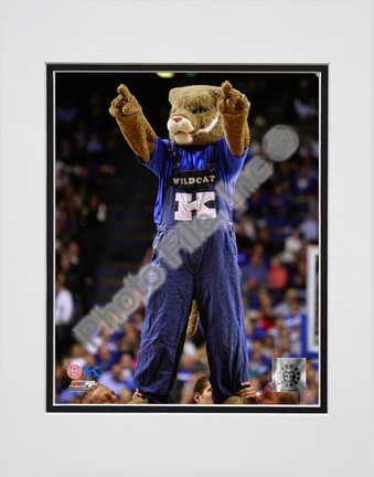 Kentucky Wildcats Mascot Double Matted 8” x 10” Photograph (Unframed)