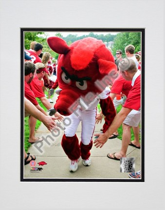 Arkansas Razorbacks Mascot 2008 Double Matted 8” x 10” Photograph (Unframed)