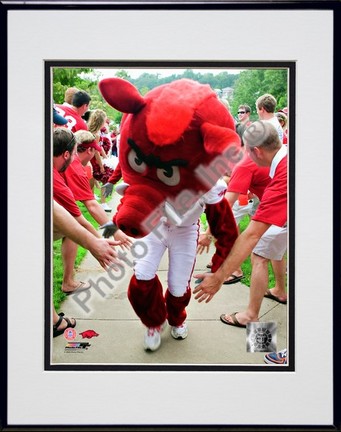 Arkansas Razorbacks Mascot 2008 Double Matted 8” x 10” Photograph in Black Anodized Aluminum Frame