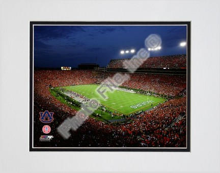 Jordan Hare Stadium Auburn Tigers 2008 Double Matted 8â€ x 10â€ Photograph (Unframed)