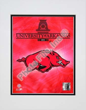 Arizona Wildcats "Team Logo" Double Matted 8” x 10” Photograph (Unframed)