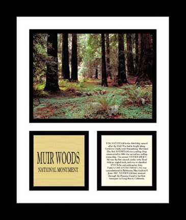Muir Woods National Monument 13" x 11" Framed Photograph (NP79A-0C8)