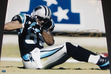 Steve Smith "On the Field" Autographed Carolina Panthers Action 16" x 20" Photograph Steve Smith Aut