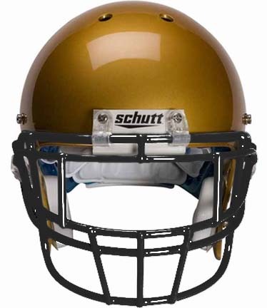 Black Eyeglass Protection (EGOPII) Football Helmet Face Guard from Schutt