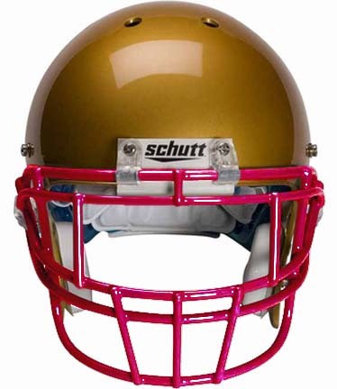 Cardinal Eyeglass Protection (EGOPII) Football Helmet Face Guard from Schutt