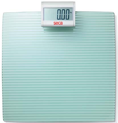 Seca 817 Marina Flat Floor Scale with Grooved Glass Plate Platform