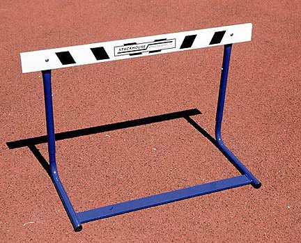 Junior Elementary Hurdle