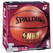 NBA Track-Soft Indoor / Outdoor Basketball from Spalding