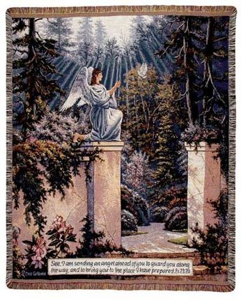 Garden Angel 50" x 60" Tapestry Throw Blanket From Simply Home
