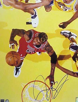 Dennis Rodman Autographed Chicago Bulls (Rebounding) 16" x 20" Photograph (Unframed)