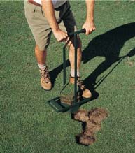 Hexagon Turf Repair Tool